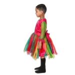 Western Style Frock Fancy Dress Costume for Girls
