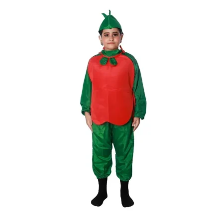 Apple Fancy Dress Costume for Kids