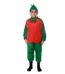 Apple Fancy Dress Costume for Kids