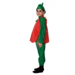 Apple Fancy Dress Costume for Kids