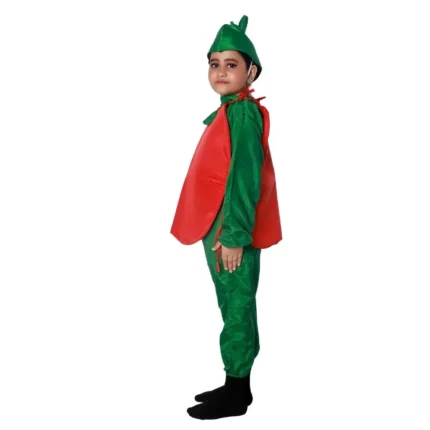Apple Fancy Dress Costume for Kids