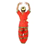 Bharatanatyam Dance Dress for Girls