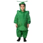 Grasshopper Fancy Dress Costume for Kids