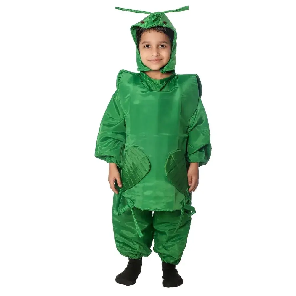 Grasshopper Fancy Dress Costume for Kids Grasshopper Fancy Dress Costume for Kids