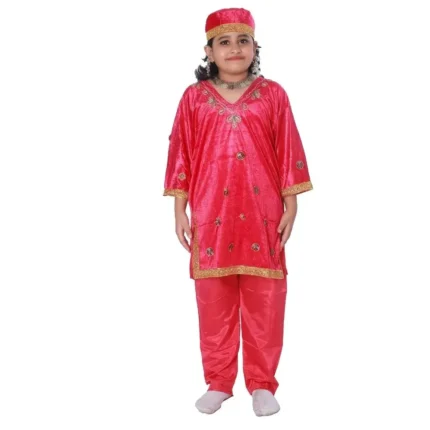 Kashmiri Dance Dress for Girls