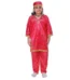 Kashmiri Dance Dress for Girls