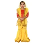Kashmiri Dance Sharara Fancy Dress Costume for Girls