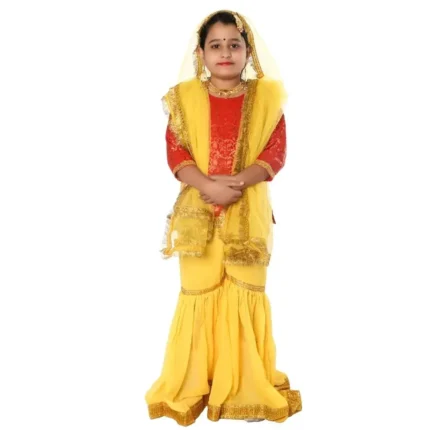 Kashmiri Dance Sharara Fancy Dress Costume for Girls