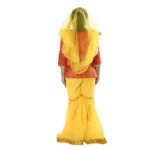 Kashmiri Dance Sharara Fancy Dress Costume for Girls