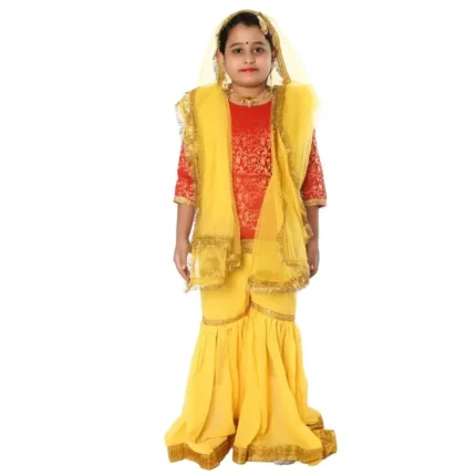 Kashmiri Dance Sharara Fancy Dress Costume for Girls