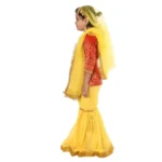 Kashmiri Dance Sharara Fancy Dress Costume for Girls