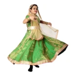 Kathak Dress Green Colour For Girls