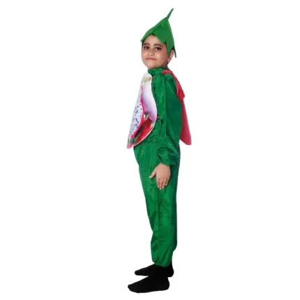 Kiwi Fancy Dress Costume for Kids