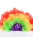 Multi Color Fancy Dress Joker Wig