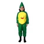 Pineapple Fruit Fancy Dress Costume for Kids