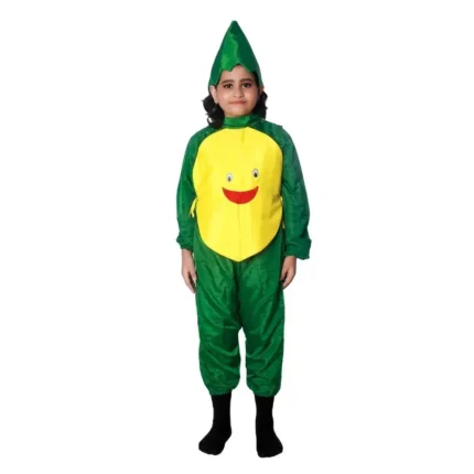 Pineapple Fruit Fancy Dress Costume for Kids