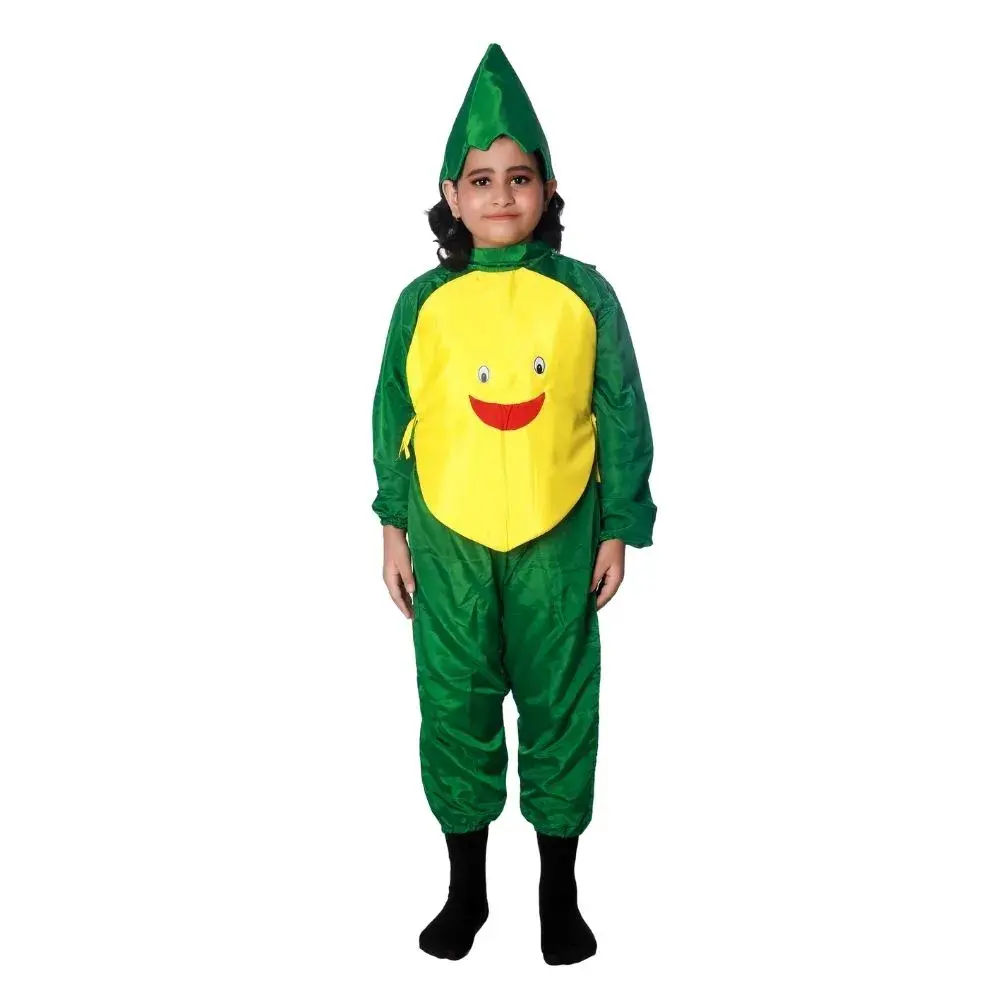 Pineapple Fruit Fancy Dress Costume for Kids Front Pineapple Fruit Fancy Dress Costume for Kids