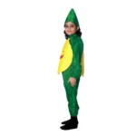 Pineapple Fruit Fancy Dress Costume for Kids