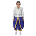 Semi Classical Dance Costume For Girls