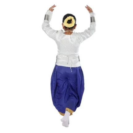 Semi Classical Dance Costume For Girls