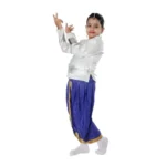 Semi Classical Dance Costume For Girls