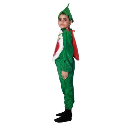 Strawberry Fancy Dress Costume