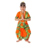 Bharatanatyam Dance Costume