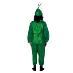 Capsicum Fancy Dress Costume For Kids