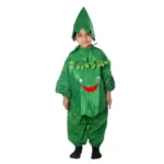 Capsicum Fancy Dress Costume For Kids Green