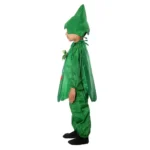 Capsicum Fancy Dress Costume For Kids Green