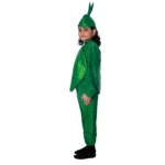 Capsicum Fancy Dress Costume For Kids