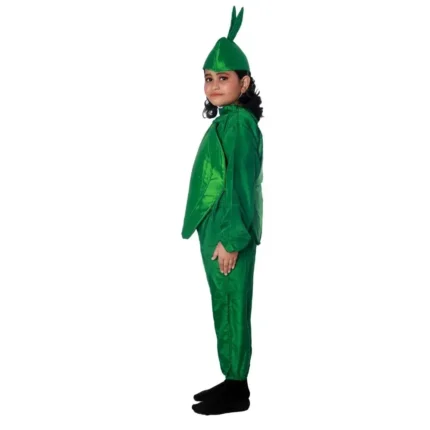 Capsicum Fancy Dress Costume For Kids