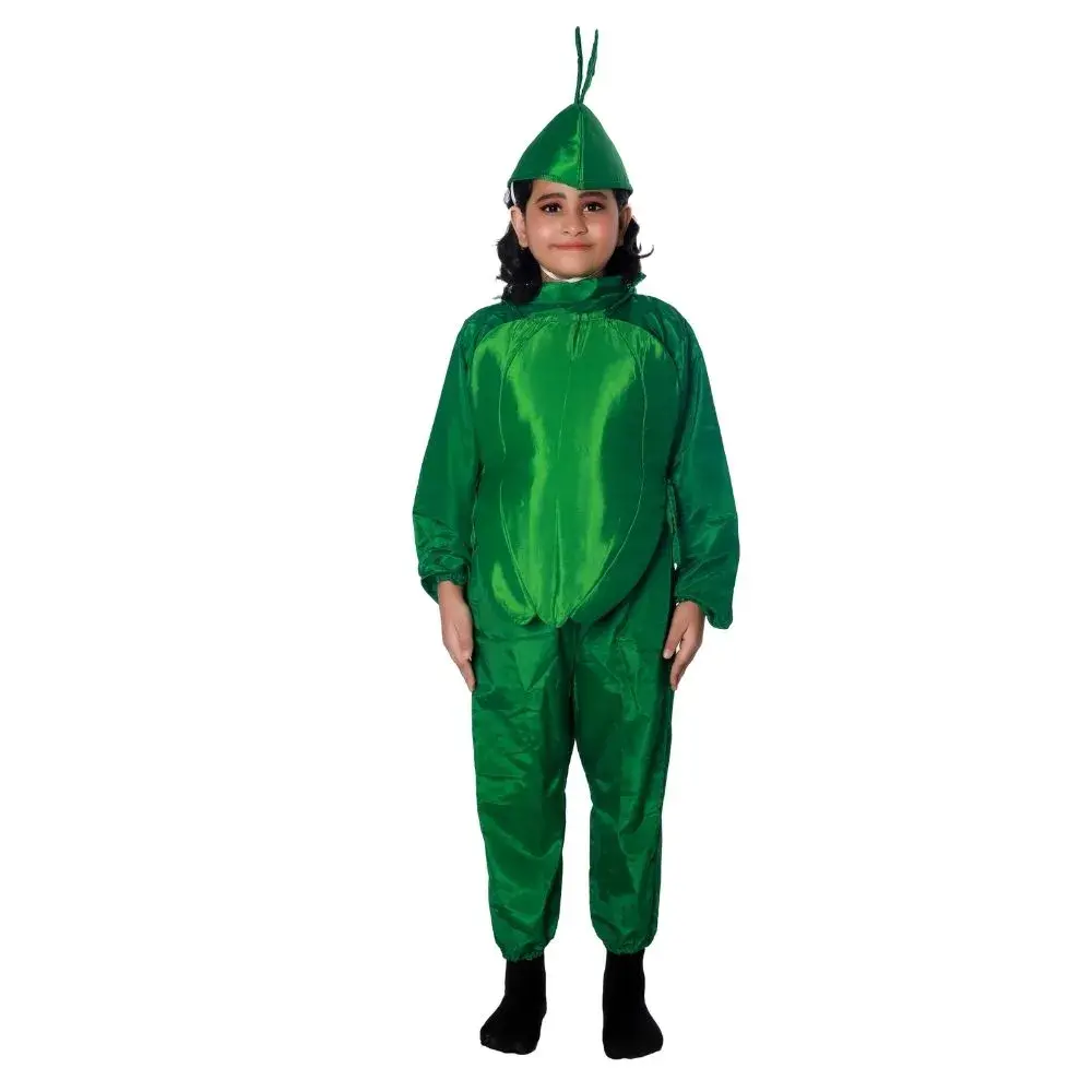 Capsicum Fancy Dress Costume For Kids Capsicum Fancy Dress Costume For Kids