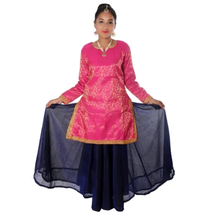Contemporary & Indo Western Dance Fancy Dress Costume