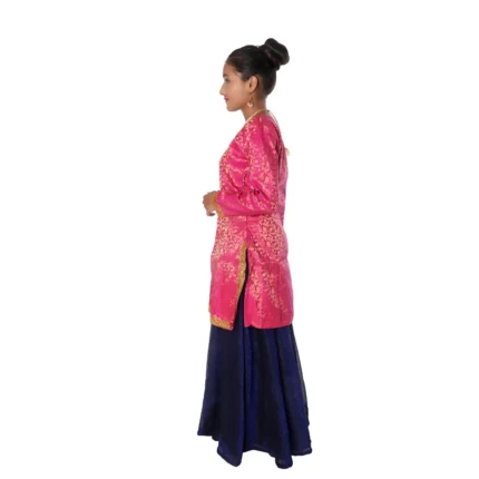 Contemporary & Indo Western Dance Fancy Dress Costume