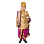 Hindu King Fancy Dance Costume