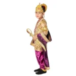 Hindu King Fancy Dance Costume