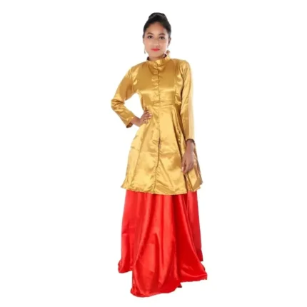 Indo Western Dance Fancy Dress Costume