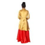 Indo Western Dance Fancy Dress Costume