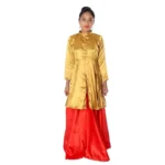 Indo Western Dance Fancy Dress Costume