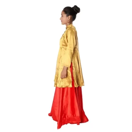 Indo Western Dance Fancy Dress Costume