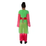 Indo Western Fancy Dress Costume Green