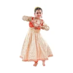 Kathak Dance Dress Classical Costume