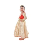 Kathak Dance Dress Classical Costume