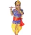 Krishna Fancy Dress Costume