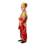 Mythological Hindu Raja Fancy Dance Costume