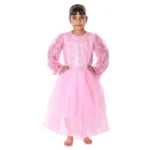 Pink Western Dance Frock Fancy Dress Costume