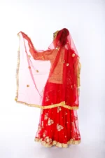 Radha Dress Lehenga Choli Costume