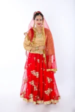 Radha Dress Lehenga Choli Costume