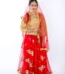 Radha Dress Lehenga Choli Costume